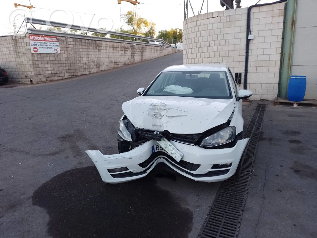 Golf SportWagen Golf  814901003358