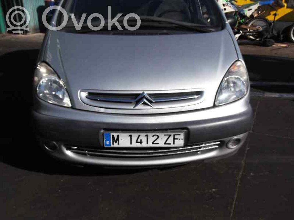 Xsara Xsara, Xsara Picasso