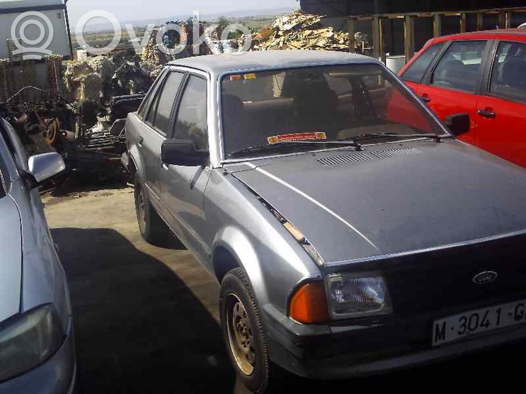 Escort Escort