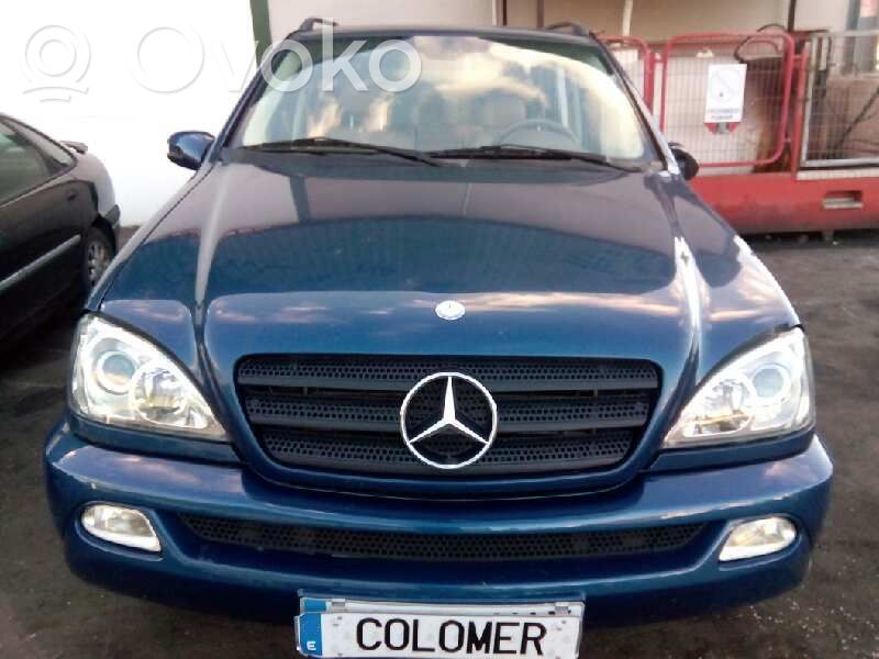 ML W163 ML-class, AMG (W163, W164, W166)