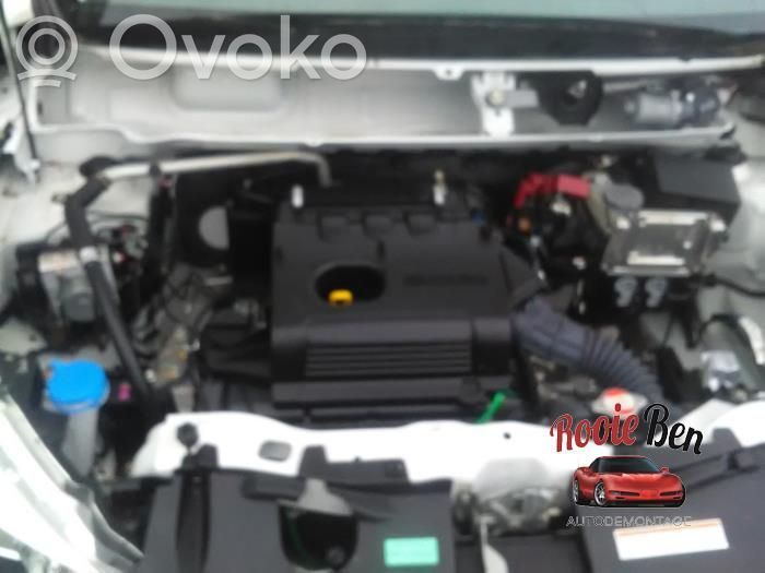 Celerio Celerio  4421048