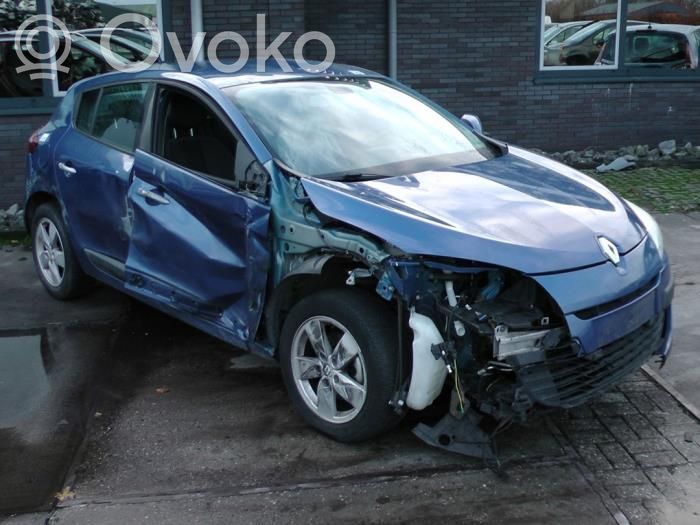 Megane III Megane  255670019R