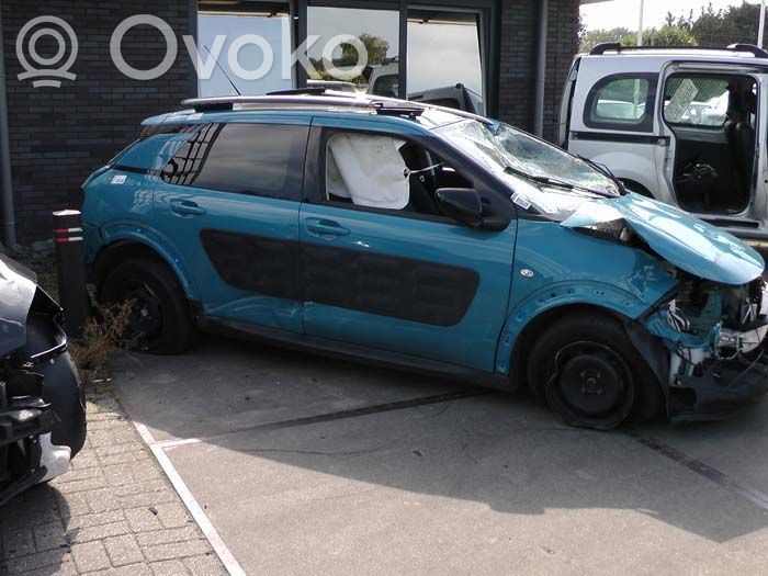 C4 Cactus C4 Picasso, Grand Picasso, Aircross, Cactus