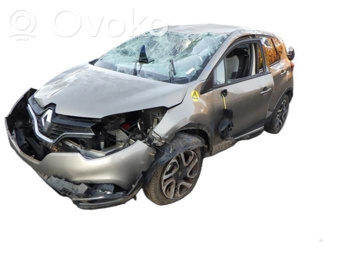 Captur Captur  901005691R