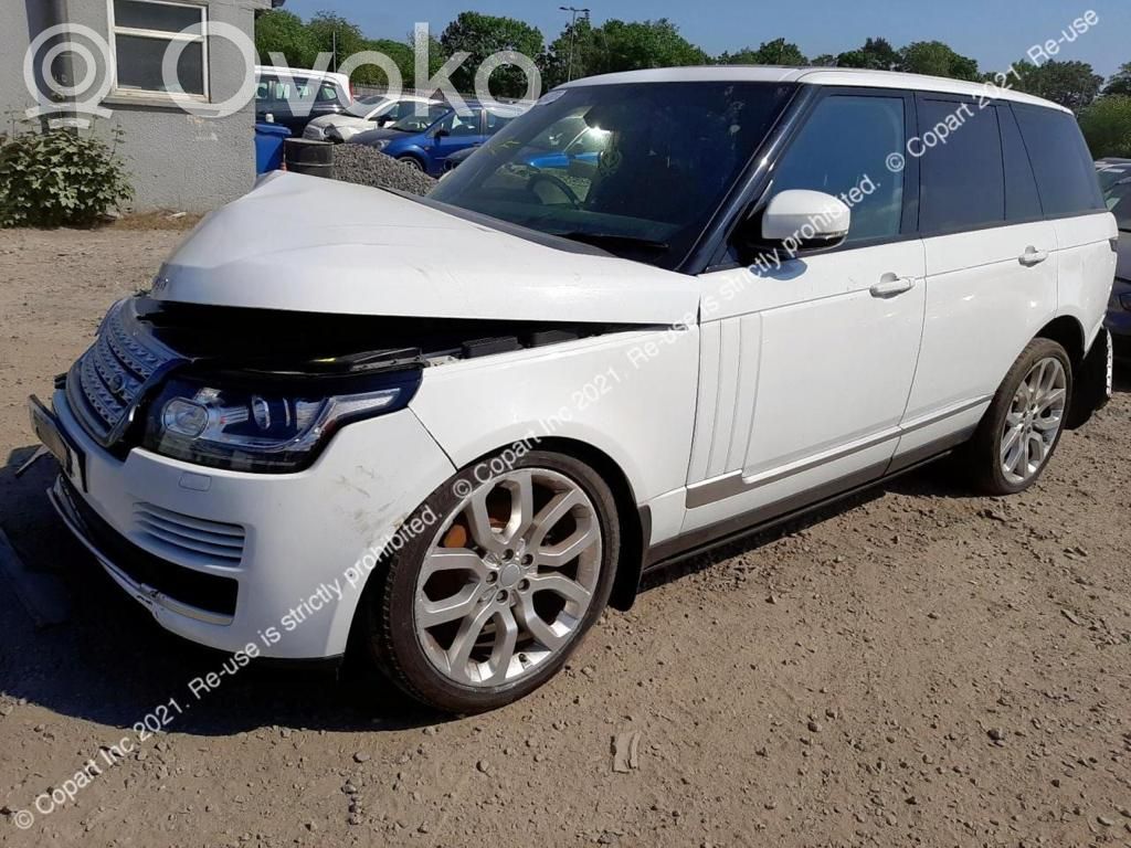 Range Rover L405 Range Rover  DPLA14C366BA