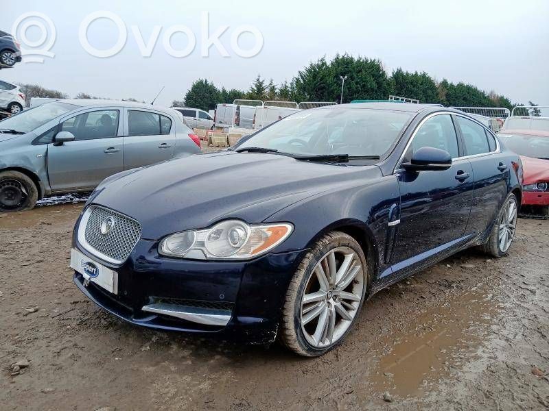 XF X250 XF  82316134