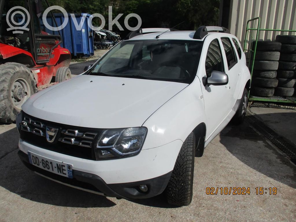 Duster Duster  100016973R