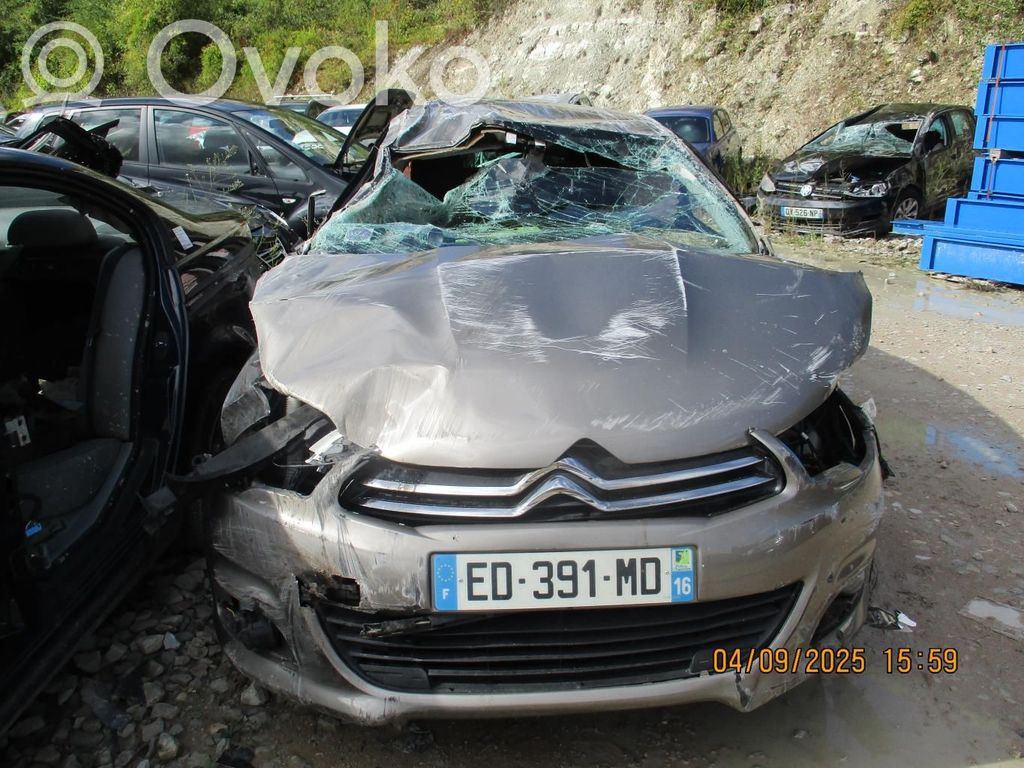 C4 II C4 Picasso, Grand Picasso, Aircross, Cactus  1616785880