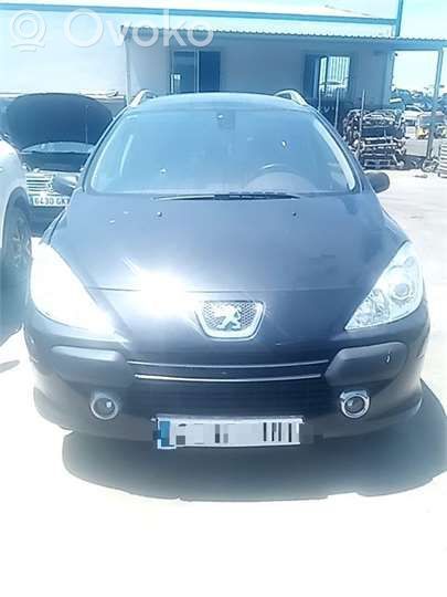 307 307  96605599XT