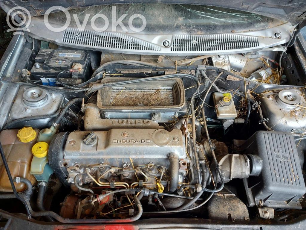 Escort Escort  95AG13K060BA