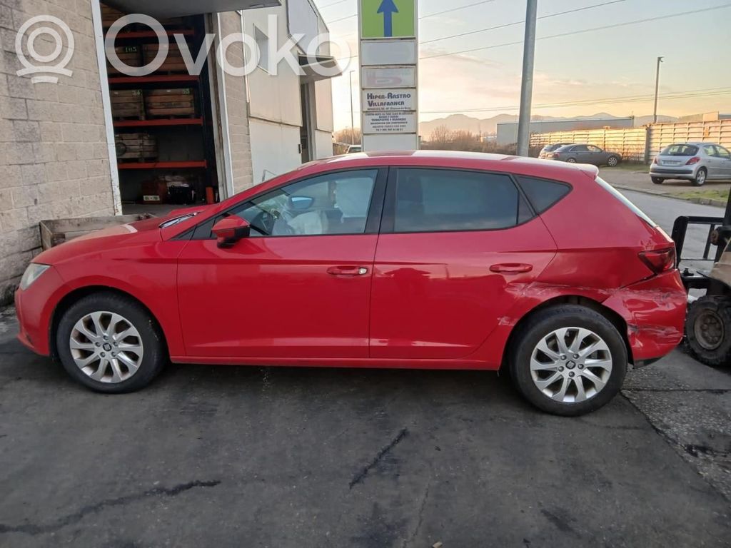 Leon (5F) Leon  CJZ