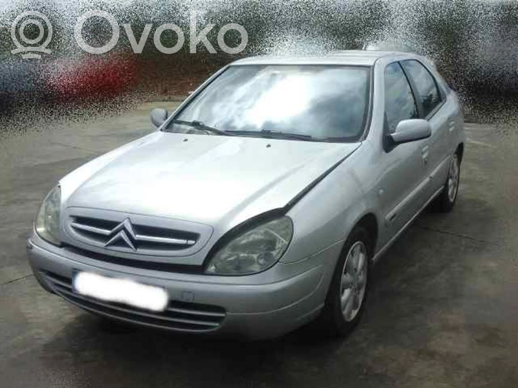 Xsara Xsara, Xsara Picasso
