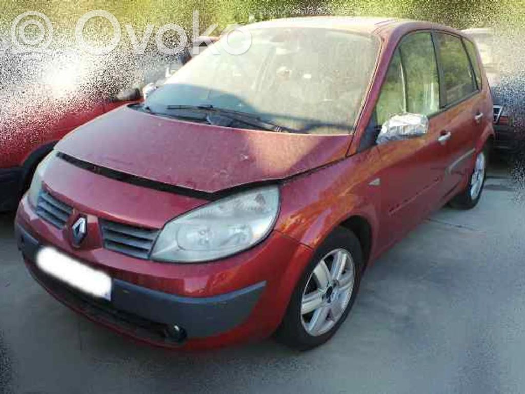 Scenic RX Scenic  8200198016