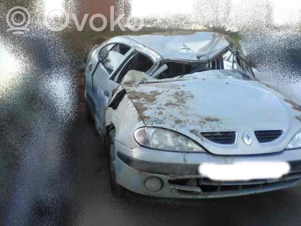 Megane I Megane  4954FDP
