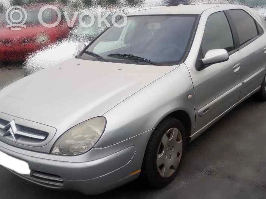 Xsara Xsara, Xsara Picasso