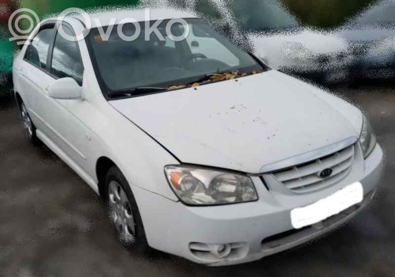 Cerato Cerato
