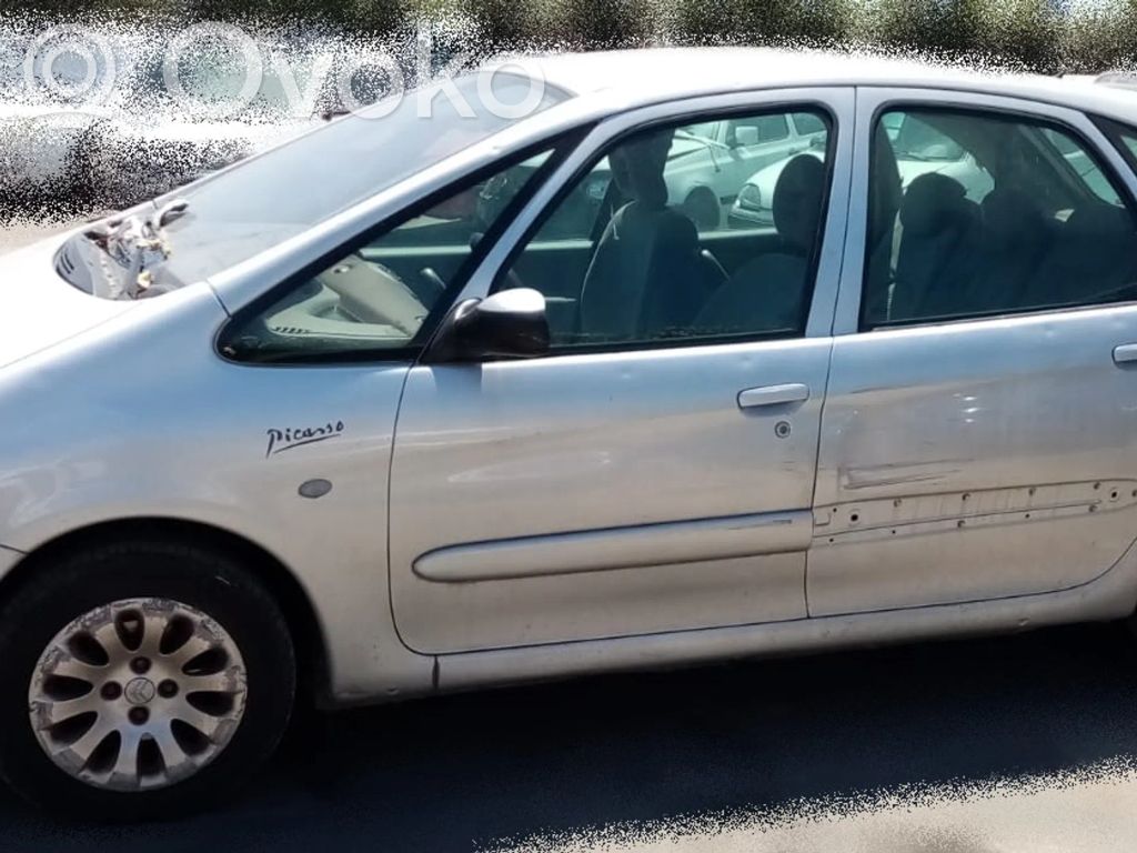 Xsara Xsara, Xsara Picasso