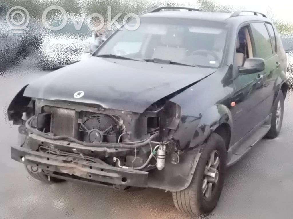 Rexton Rexton