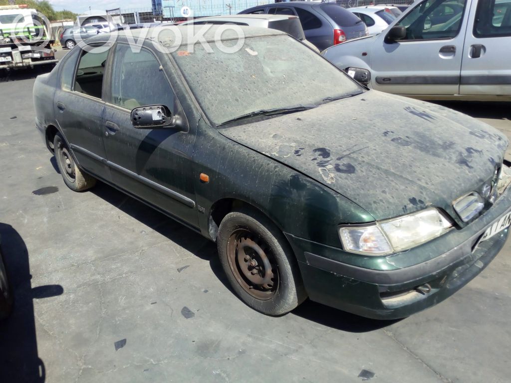 Primera Primera
