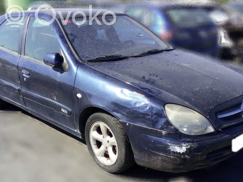 Xsara Xsara, Xsara Picasso