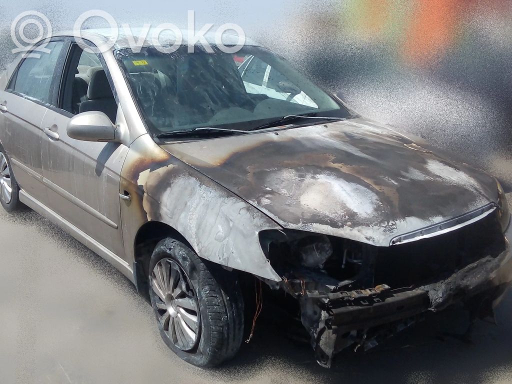 Cerato Cerato  311102F400
