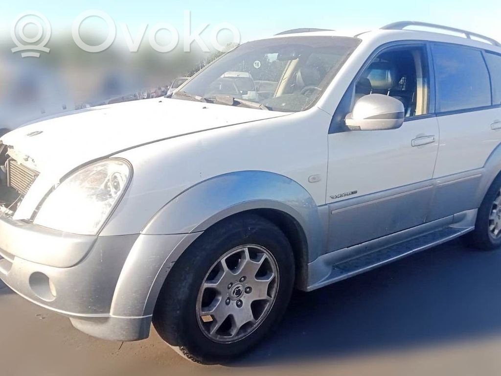 Rexton Rexton  A6651540202