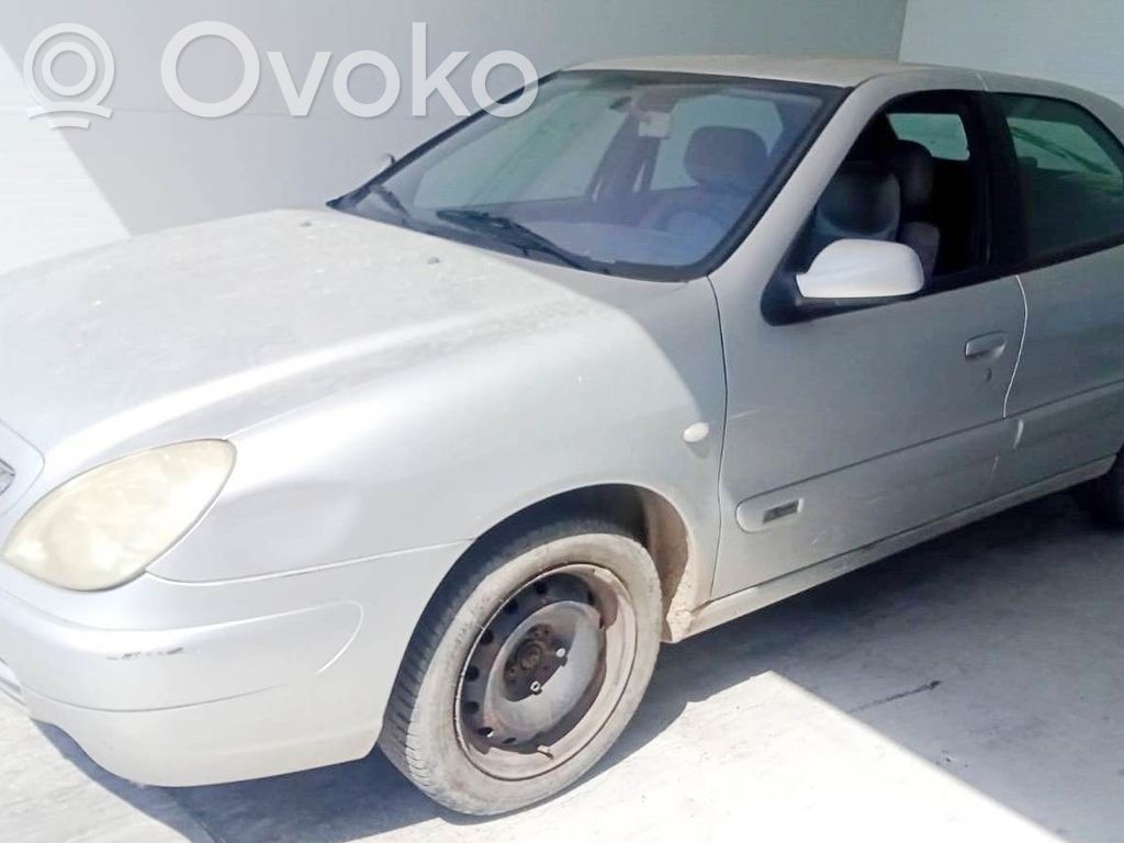 Xsara Xsara, Xsara Picasso