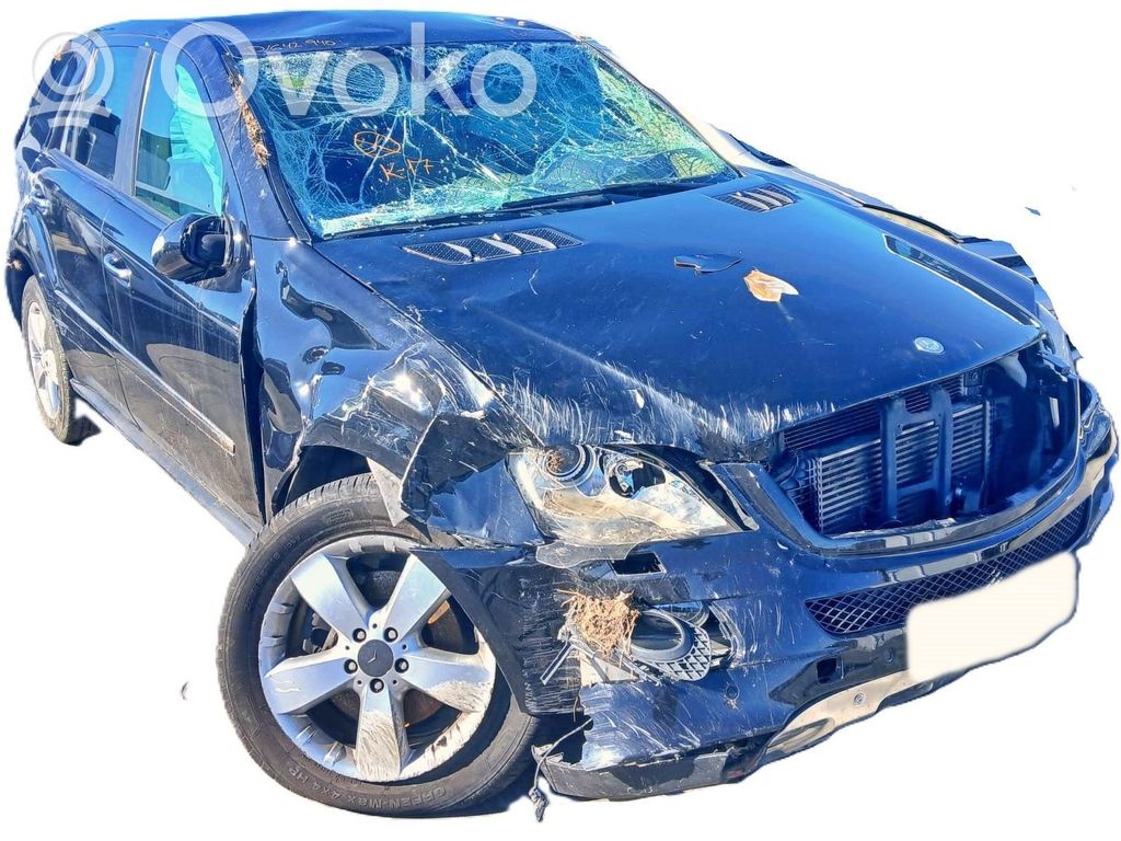 ML W164 ML-class, AMG (W163, W164, W166)