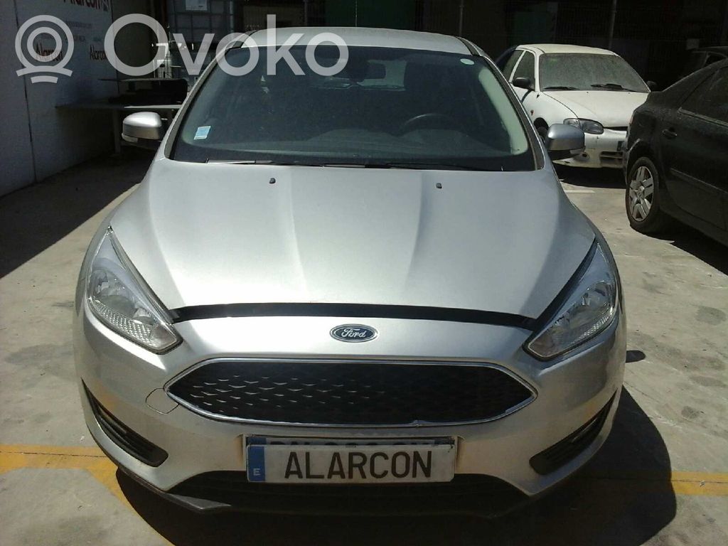 Focus Focus  1704765