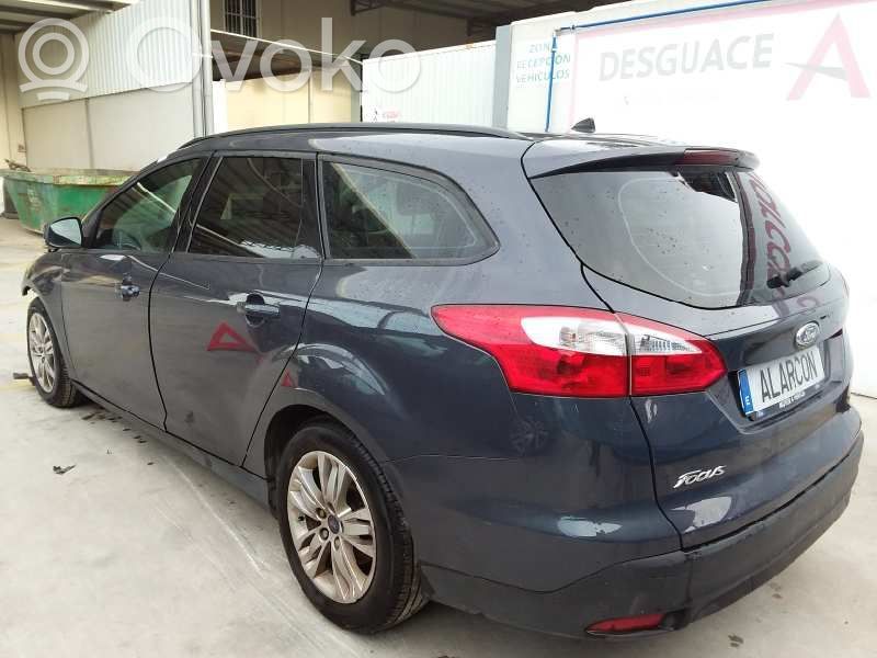 Focus Focus  1883869