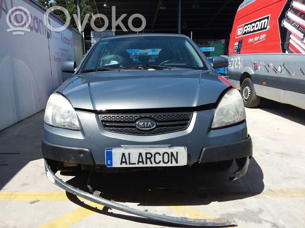 Rio Rio  393502A420