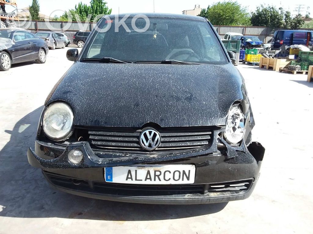 Lupo Lupo  038906013L