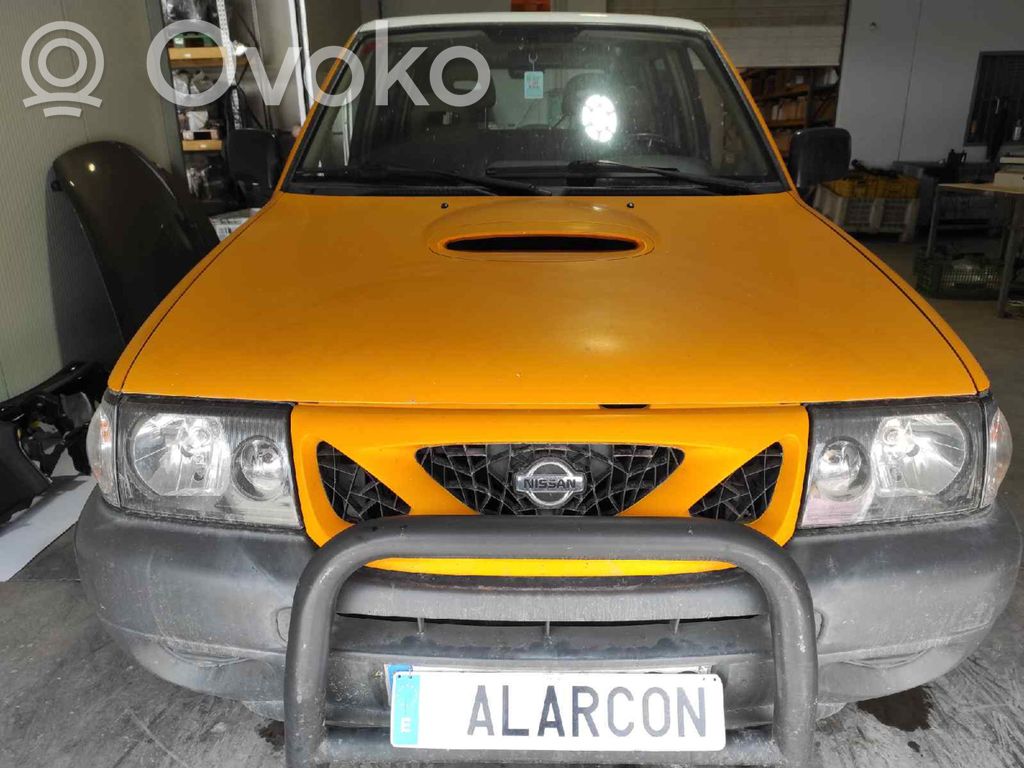 Terrano Terrano  250600X00A