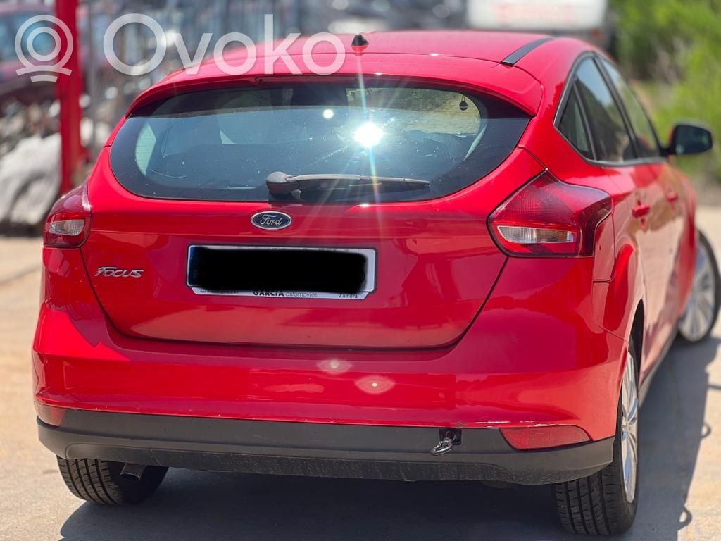 Focus Focus  1755222