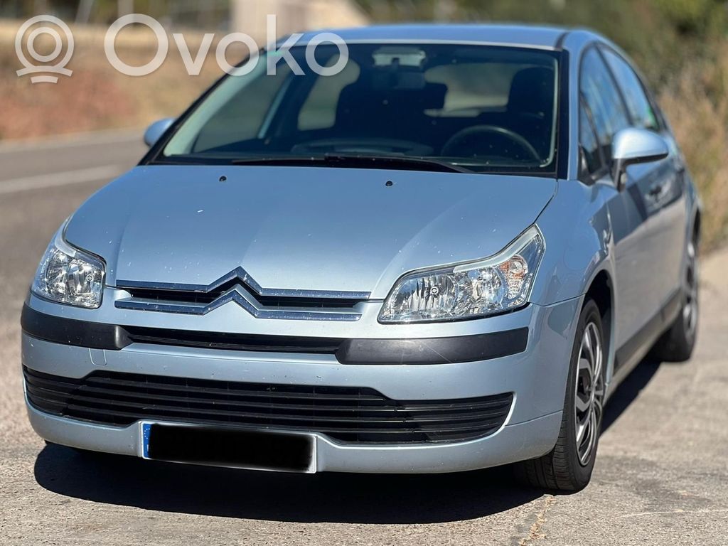 C4 Grand Picasso C4 Picasso, Grand Picasso, Aircross, Cactus  7410X1