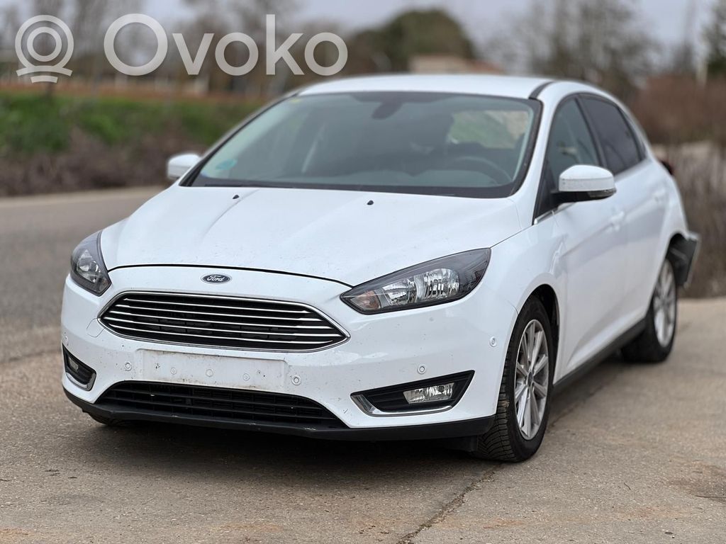 Focus Focus  1838941