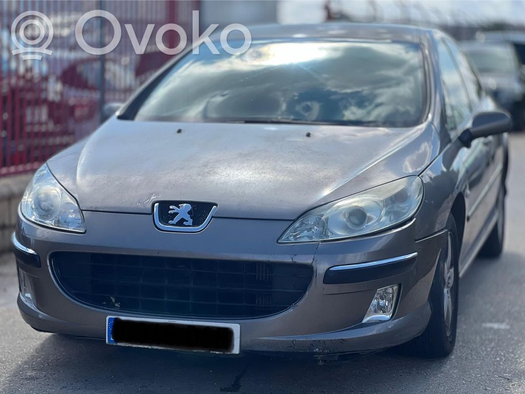 407 407  5WS40167GT