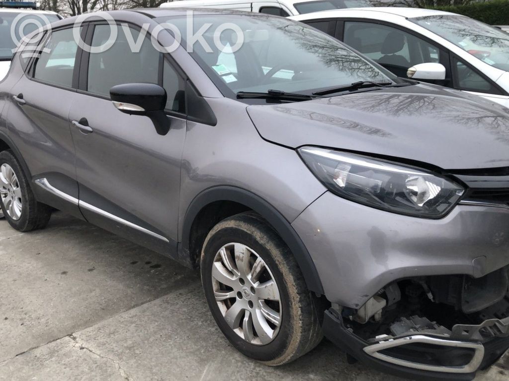 Captur Captur  484006599R