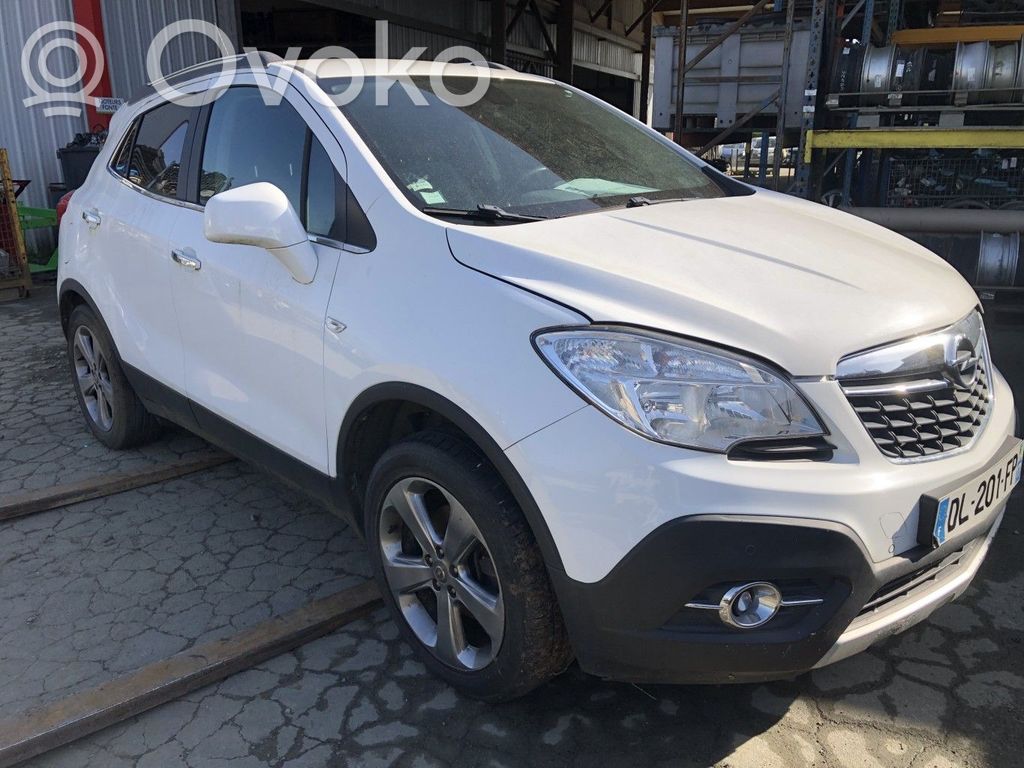 Mokka Mokka  13502178