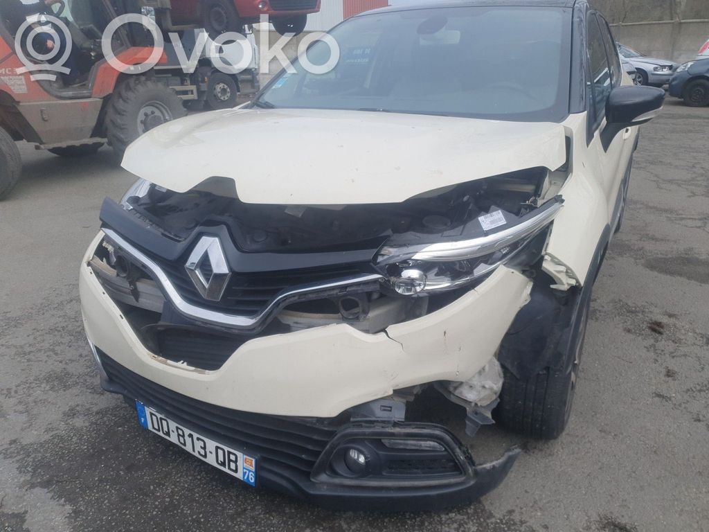 Captur Captur  172038931R