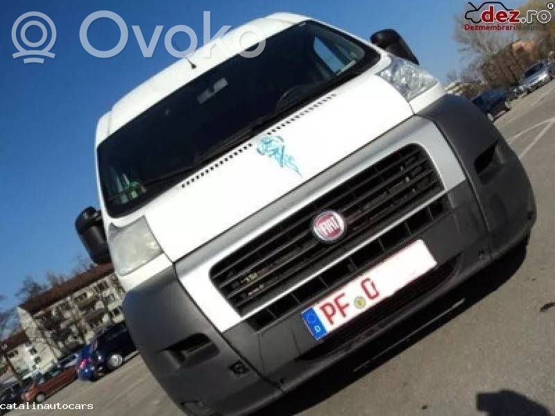Ducato Ducato  2582501045