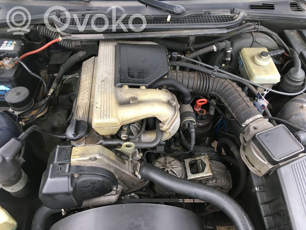 3 E36 Series 3  41528185427