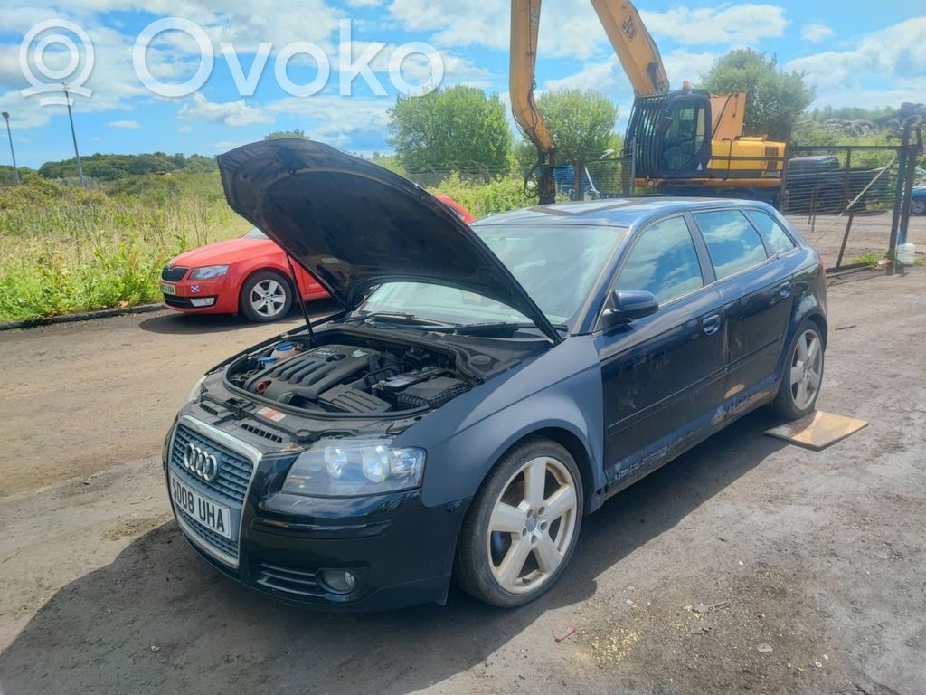A3 S3 A3 Sportback 8P A3, S3  8P4880241C
