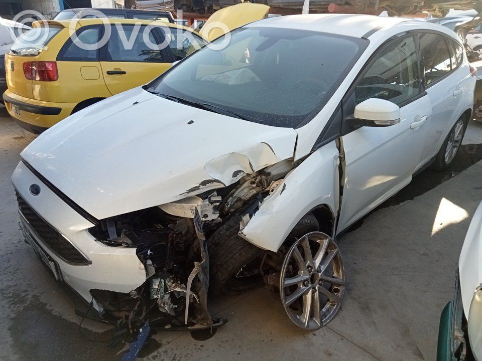Focus Focus  F1EB3600JG