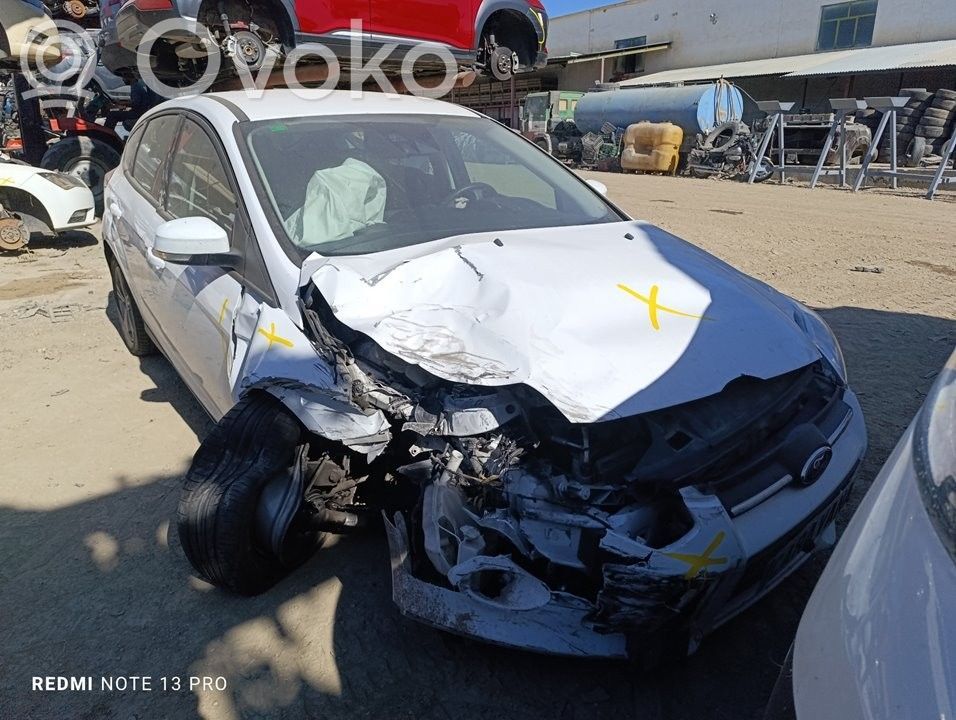 Focus Focus  1852397