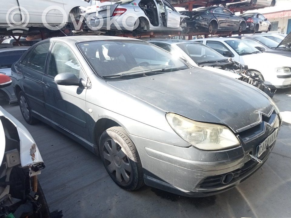 C5 C5, C5 Aircross  5WS40199DT