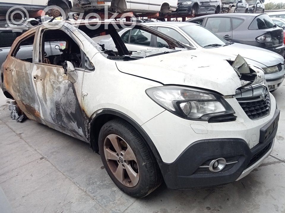 Mokka Mokka  12669321