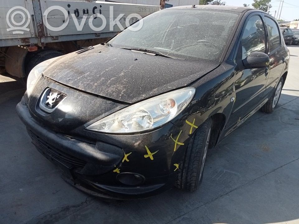 206 206, 206+  9666579080
