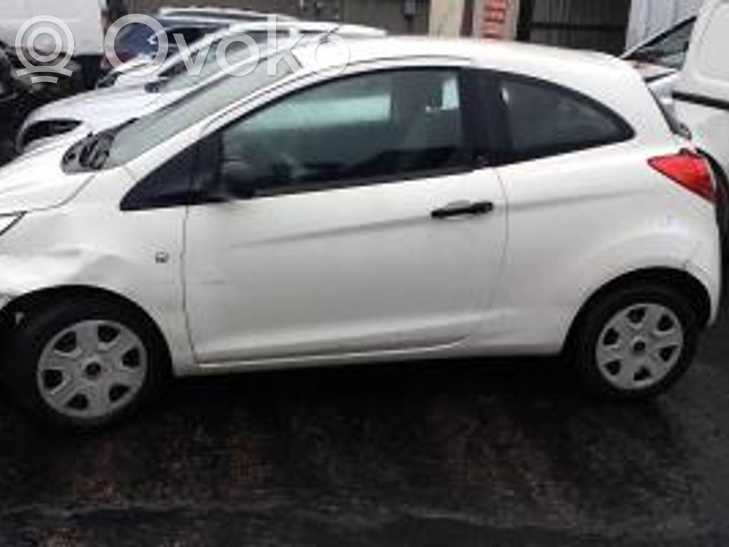 Ka Ka  51873926