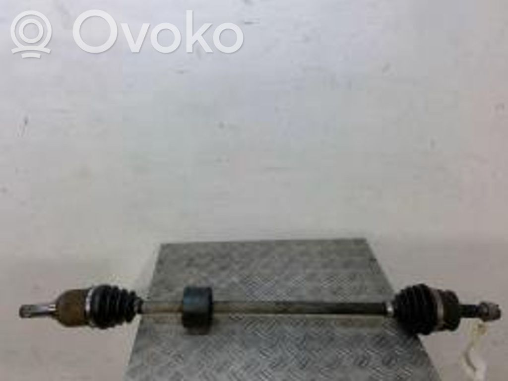 500 500  51965673